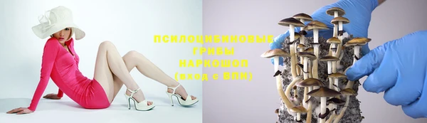 spice Армянск