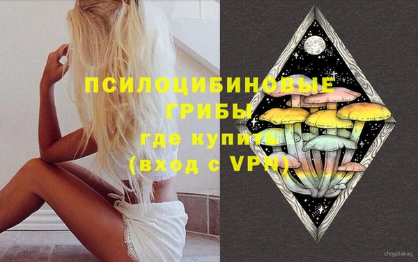 spice Армянск