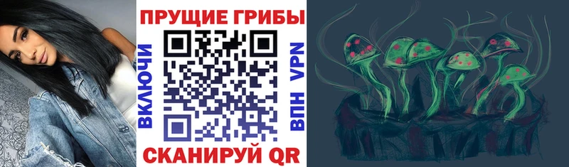 купить наркотики цена  MEGA вход  Псилоцибиновые грибы MAGIC MUSHROOMS  Мещовск 
